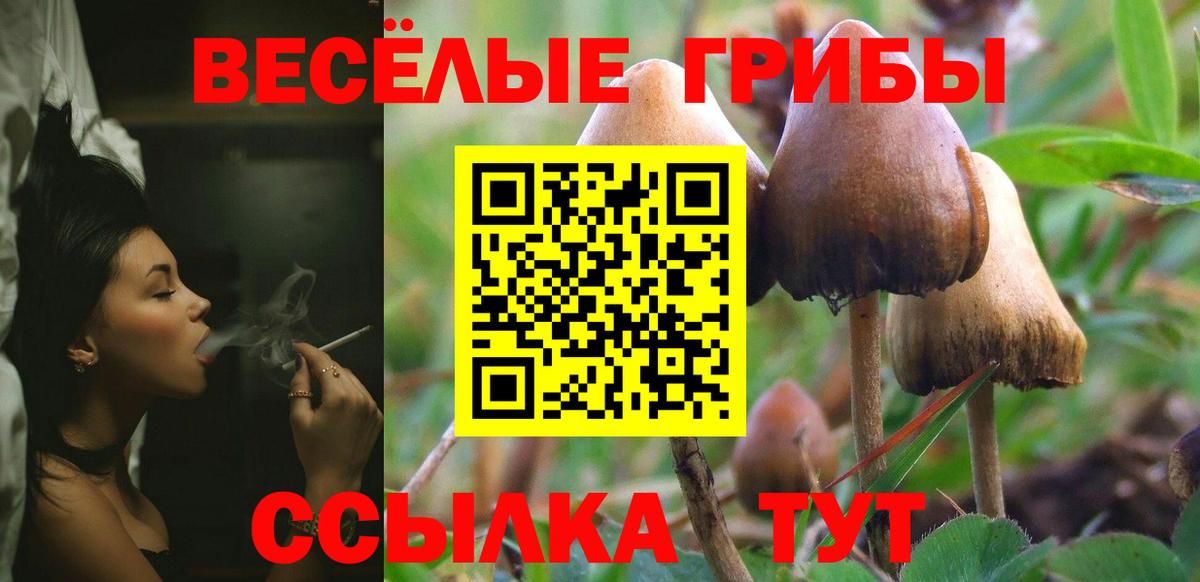Галлюциногенные грибы Cubensis Острогожск