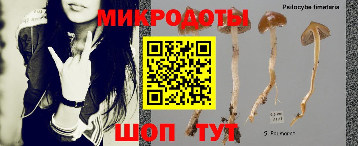 Псилоцибиновые грибы Magic Shrooms  Вход с VPN  Галлюциногенные грибы MAGIC MUSHROOMS  дарнет шоп  Острогожск 